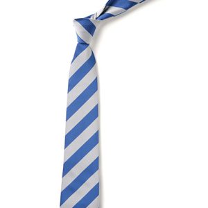 WMS School Tie