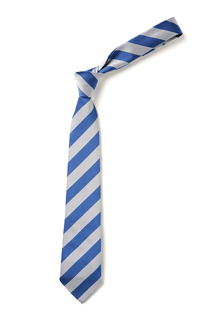 WMS School Tie