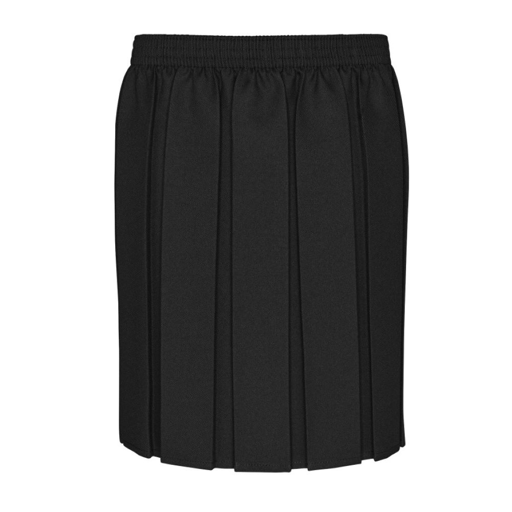 Elastic Waist Junior Box Pleat Skirt