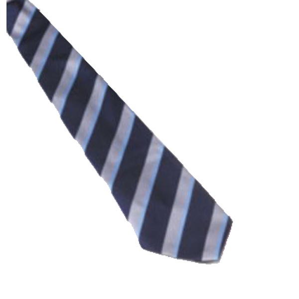 Walthamstow Academy Tie