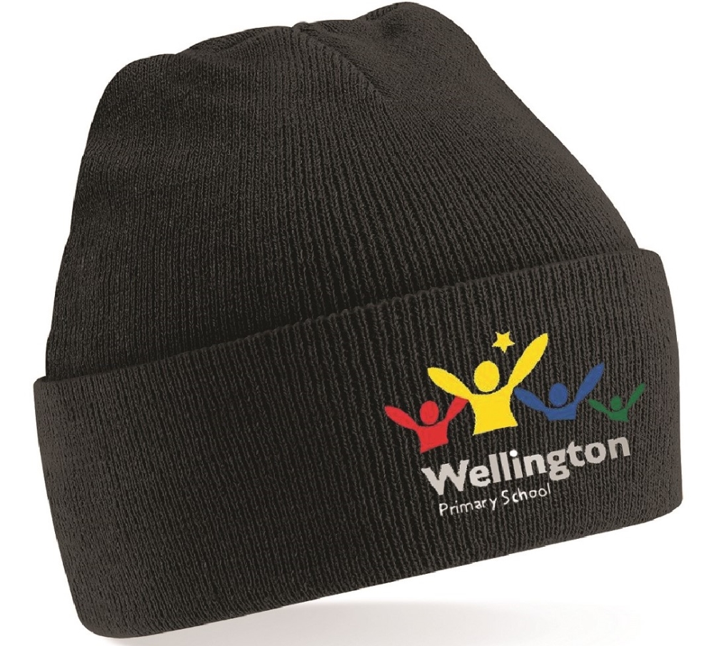 Wellington Knitted Hat