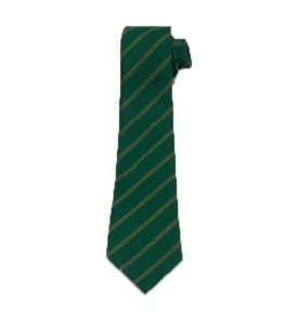 WSFG Tie