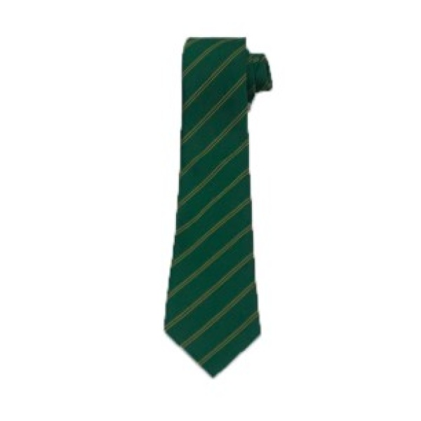 WSFG Tie