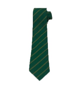 WSFG Tie