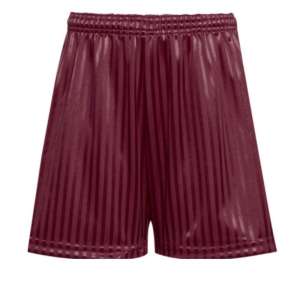 Shadow Stripe Shorts