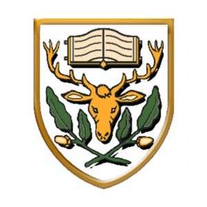 Highams Park School